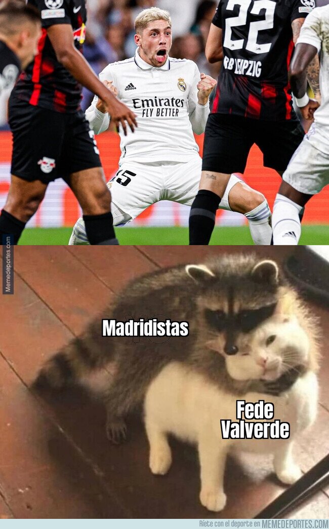 1170084 - El Pajarito está de dulce