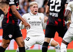 Enlace a El Pajarito está de dulce