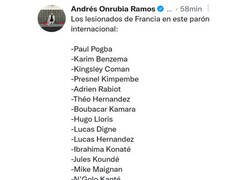 Enlace a La plaga de lesiones en el combinado francés