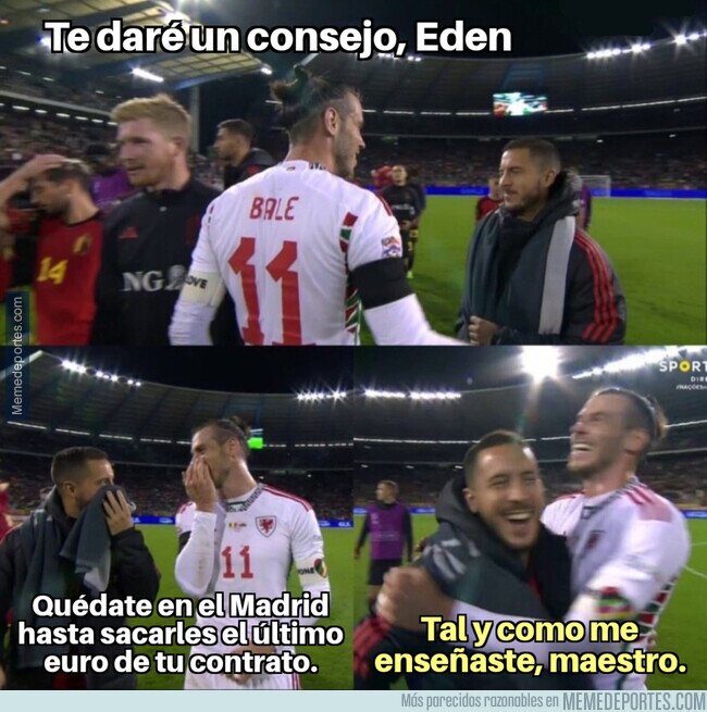 1170634 - Reencuentro en el Bélgica-Gales