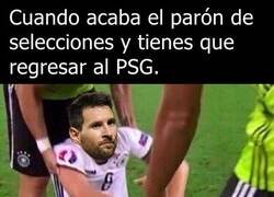 Enlace a De regreso a alimentar a una tortuga egoísta.