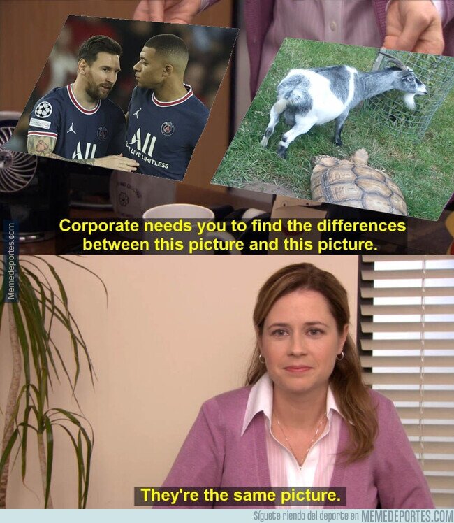 1171040 - Veo lo mismo en las dos