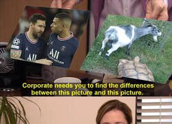 Enlace a Veo lo mismo en las dos