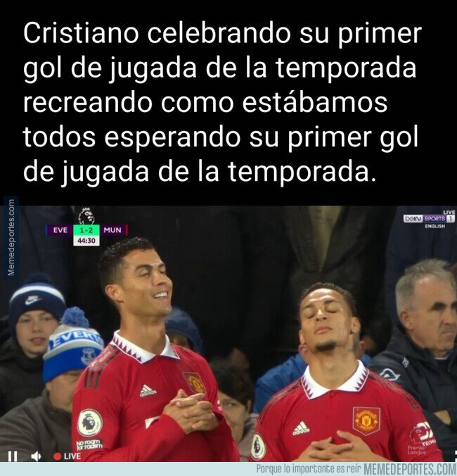 1171646 - Muy original, bicho