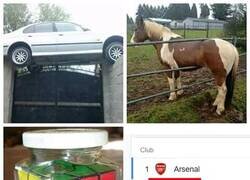 Enlace a La bromita ya ha durado 9 fechas