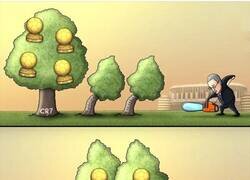 Enlace a Cómo trabaja el Tito Florentino