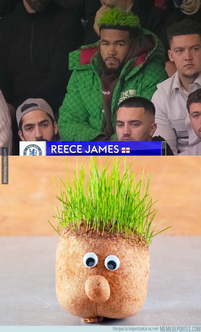 1172741 - Separados al nacer