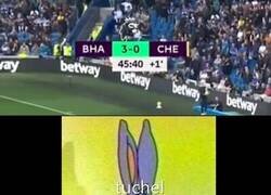 Enlace a Graham Potter terminando el trabajo