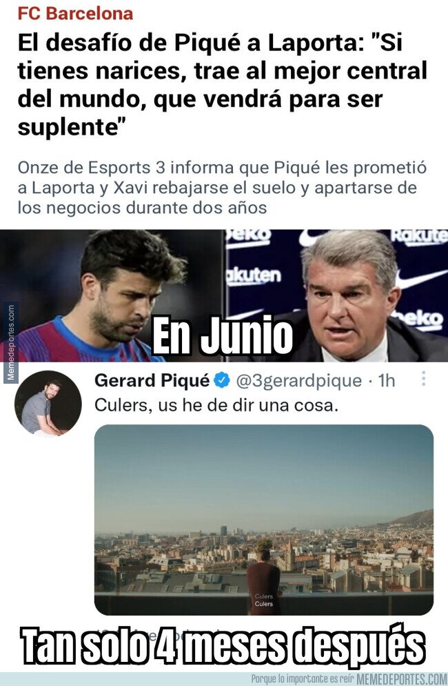 1173620 - 4 meses de asimilación
