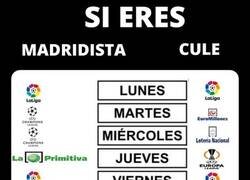 Enlace a Que ver en TV por las noches a partir de Febrero