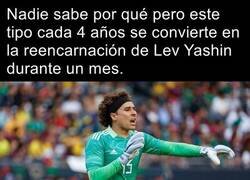 Enlace a ¿Están listos para super Ochoa?