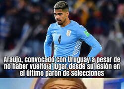 Enlace a Araujo fuerza para llegar