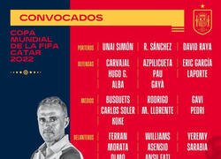 Enlace a Los elegidos para Catar