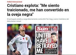 Enlace a La oveja negra del rebaño