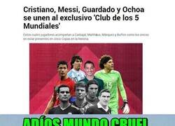 Enlace a El mundo es un lugar cruel