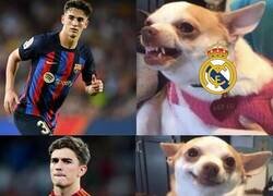 Enlace a Los madridistas con Gavi