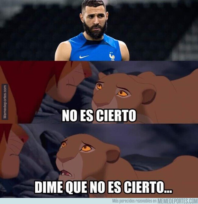 1174592 - El Balón de Oro se pierde el Mundial por lesión