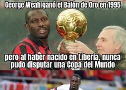 Enlace a Los logros de la familia Weah