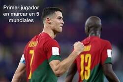 Enlace a Histórico el bicho 