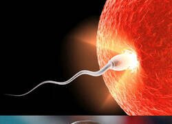 Enlace a Me recordó a esto