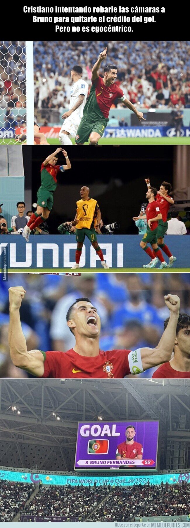 1175304 - El compañerismo del bicho