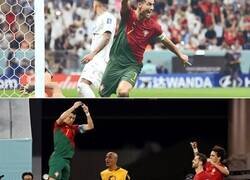 Enlace a El compañerismo del bicho