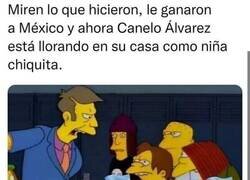 Enlace a Resumen de la victoria de Argentina sobre México