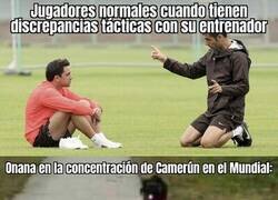 Enlace a Onana abandona el Mundial por desencuentros con su entrenador