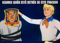 Enlace a Estaba para campeón decían