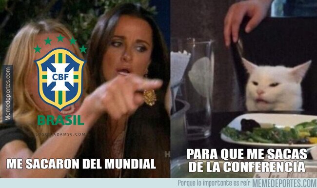 1176130 - Brasil y los gatos, enemigos naturales