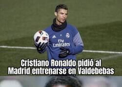 Enlace a Algunos madridistas se vuelven a ilusionar