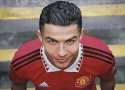 Enlace a Nunca tuve tanto en común con el Bicho