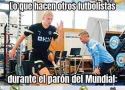 Enlace a Paseando un león albino, lo normal