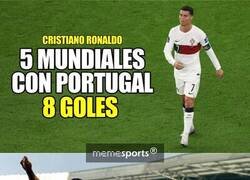 Enlace a Datos, no opiniones