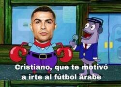 Enlace a Gracias bicho