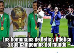 Enlace a Error 404: Campeones del Mundo not found