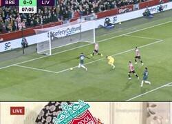 Enlace a Darwin ha fallado esto. No tengo palabras.