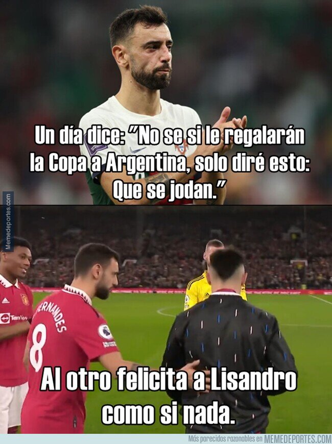1178117 - Un compañero de equipo como Bruno