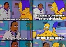 Enlace a Las 5 fases del dueIo de los bicholovers