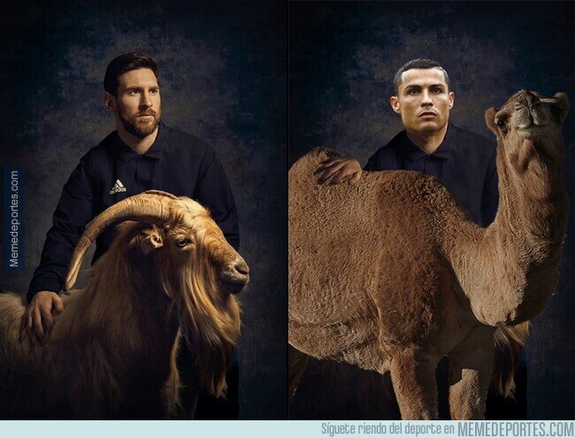 1178131 - The GOAT and the Camel