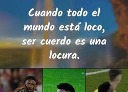 Enlace a Vinicius está rodeado de psicópatas claramente