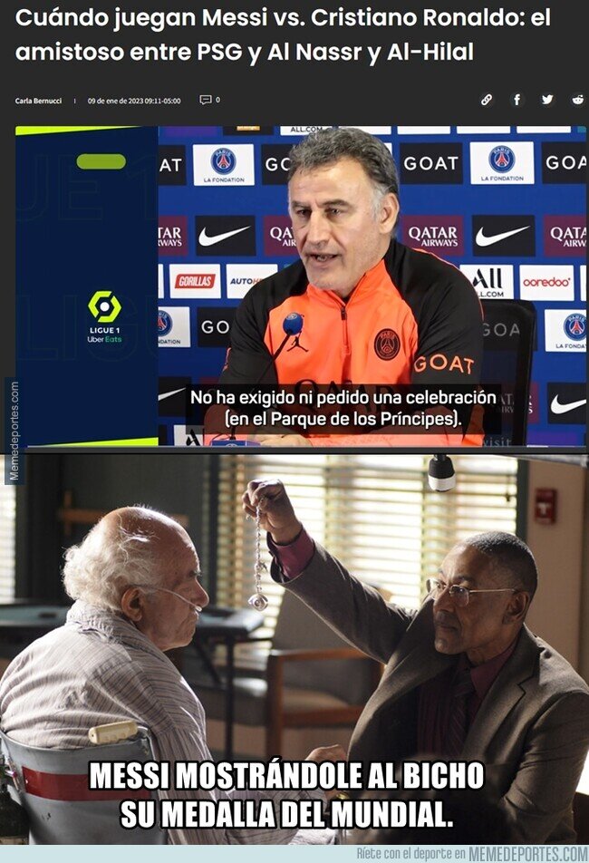 1178436 - Look at me, Bicho.