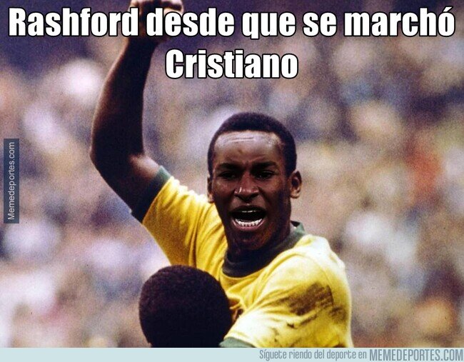1178502 - En buenas manos quedan