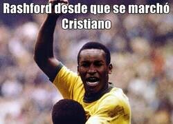 Enlace a En buenas manos quedan