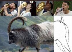 Enlace a Yo no hago las reglas. Lo siento