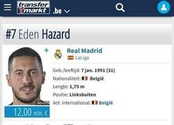 Enlace a Lo que pasa cuando miras las estadísticas de Hazard...