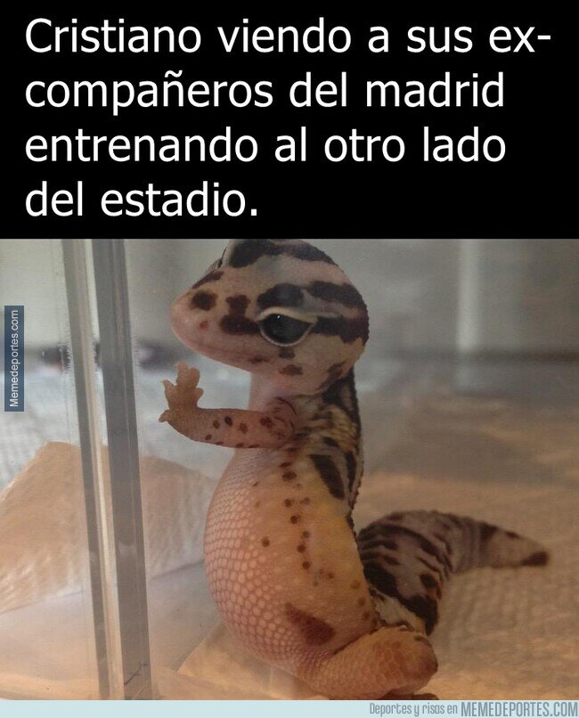1178852 - No puedes irte con ellos