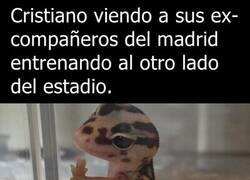 Enlace a No puedes irte con ellos