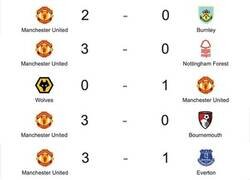 Enlace a Ay mi madre el bicho