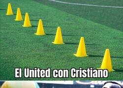 Enlace a El efecto Bicho